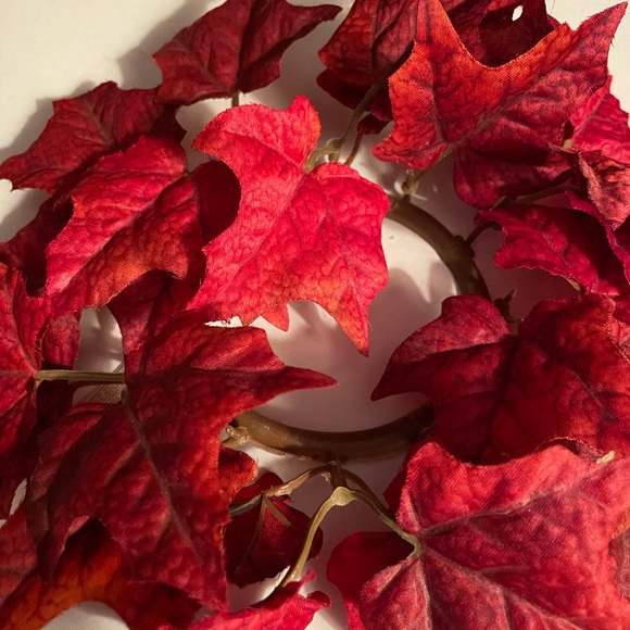 Candle Wreaths, set of 2   Approx 10”.  Rich Fall Leaf Color. - Picture 5 of 8
